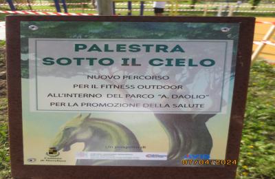 Locandina Palestra
